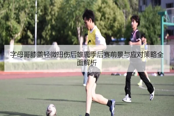 字母哥膝盖轻微扭伤后雄鹿季后赛前景与应对策略全面解析